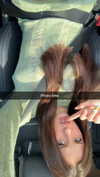 sierraccabot Altpins Profile Picture