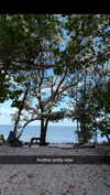 sierraccabot Altpins Profile Picture