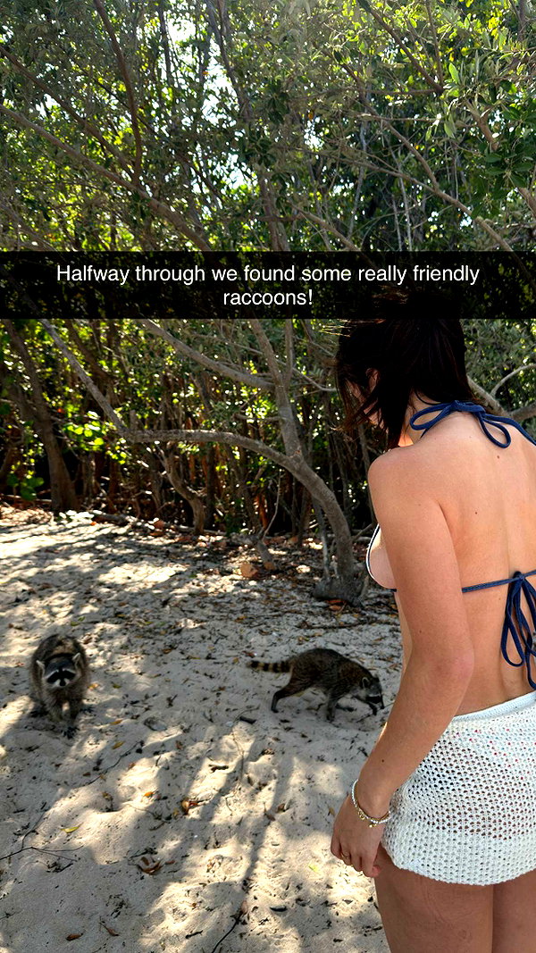 sierraccabot snapchat image archive image