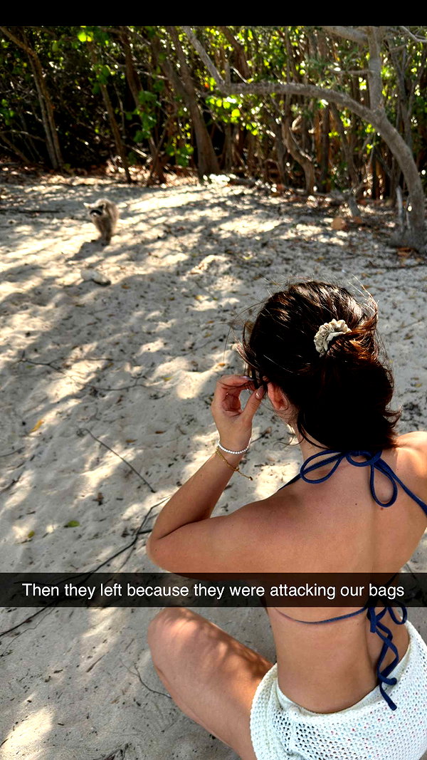 sierraccabot snapchat image archive image