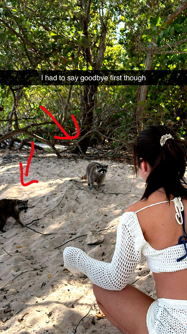 sierraccabot snapchat image archive image