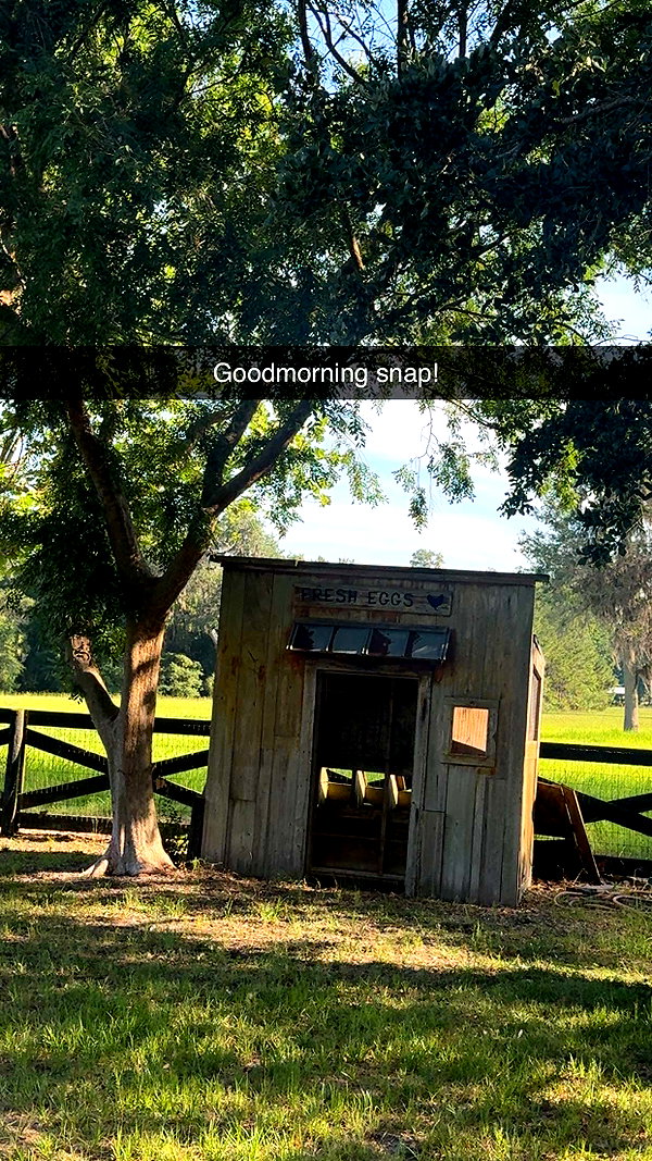 sierraccabot snapchat image archive image