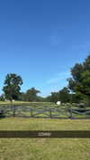 sierraccabot Altpins Profile Picture