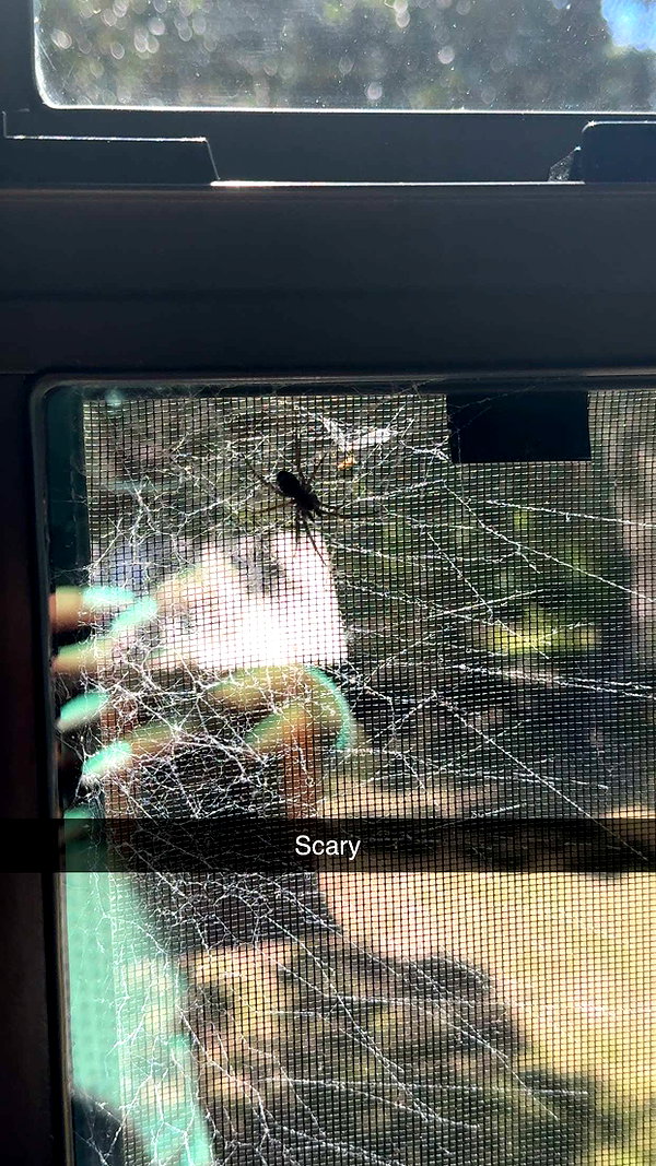 sierraccabot snapchat image archive image