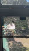 sierraccabot Altpins Profile Picture