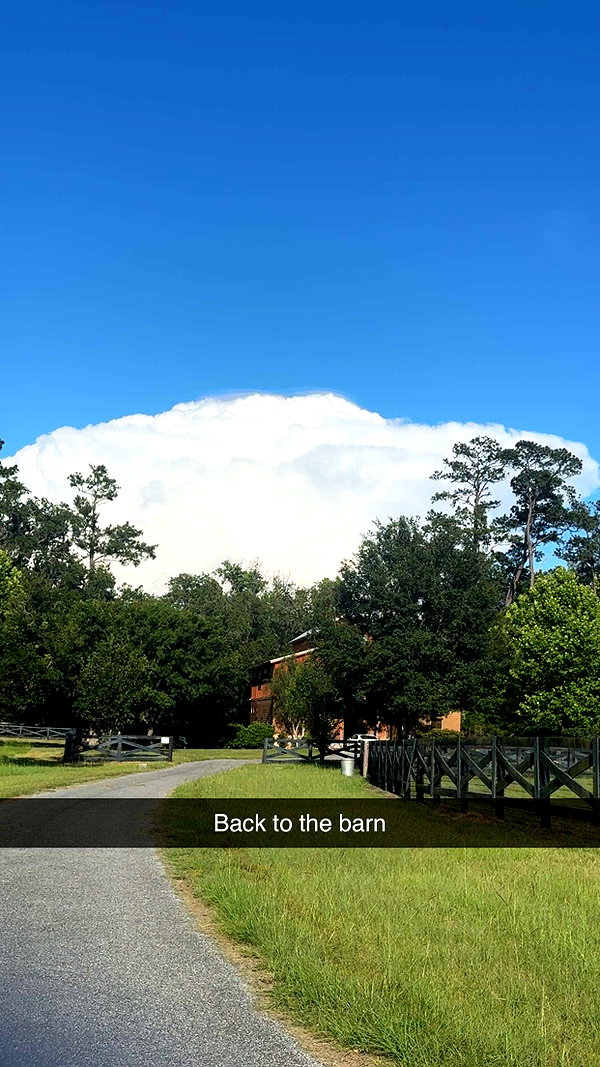 sierraccabot snapchat image archive image