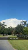sierraccabot Altpins Profile Picture