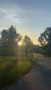 sierraccabot Altpins Profile Picture