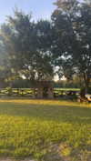 sierraccabot Altpins Profile Picture