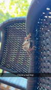 sierraccabot Altpins Profile Picture