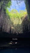 sierraccabot Altpins Profile Picture