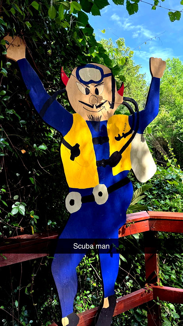 sierraccabot snapchat image archive image
