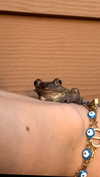 sierraccabot Altpins Profile Picture