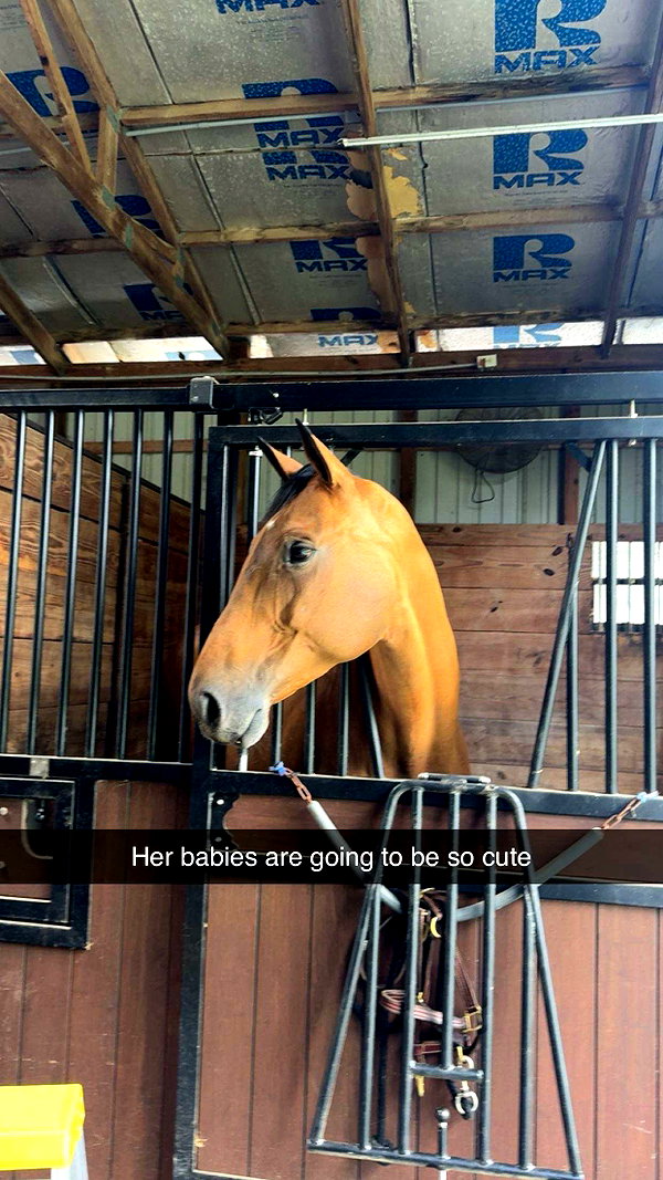 sierraccabot snapchat image archive image