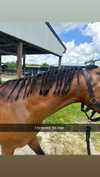 sierraccabot Altpins Profile Picture