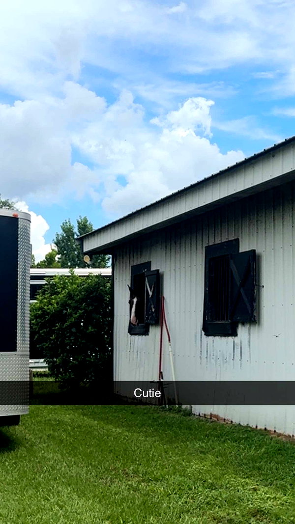 sierraccabot snapchat image archive image
