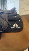 sierraccabot Altpins Profile Picture