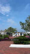 sierraccabot Altpins Profile Picture