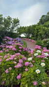 sierraccabot Altpins Profile Picture