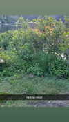 sierraccabot Altpins Profile Picture
