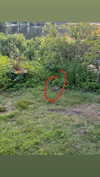 sierraccabot Altpins Profile Picture