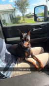 sierraccabot Altpins Profile Picture
