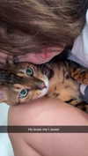 sierraccabot Altpins Profile Picture