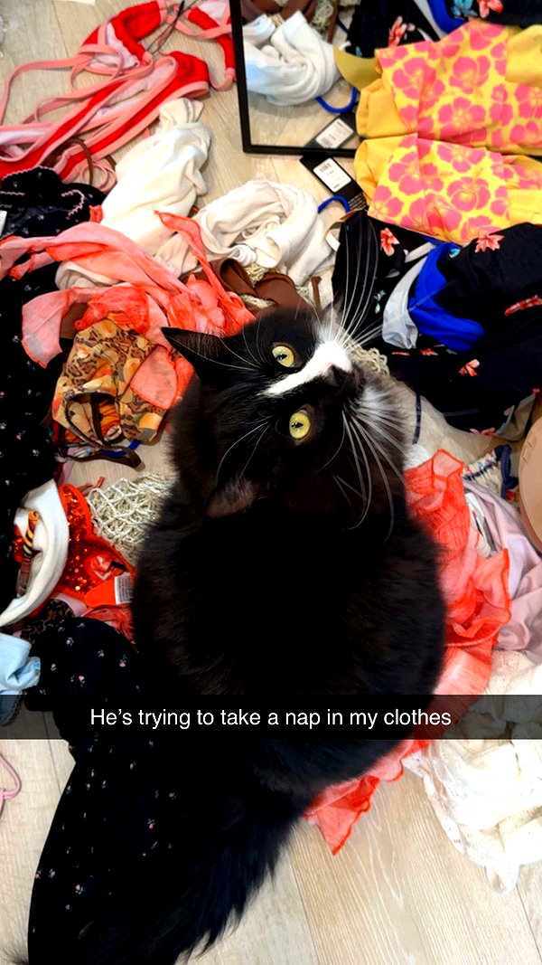 sierraccabot snapchat image archive image