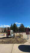 sierraccabot Altpins Profile Picture