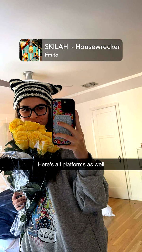 skilahblue image ~ Altpins