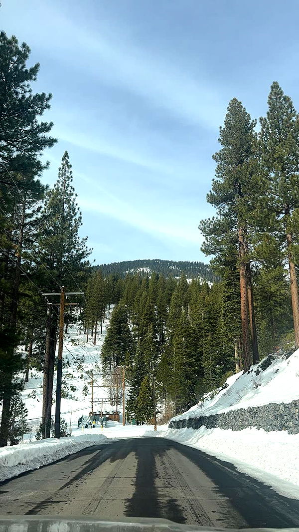 skilahblue image ~ Altpins