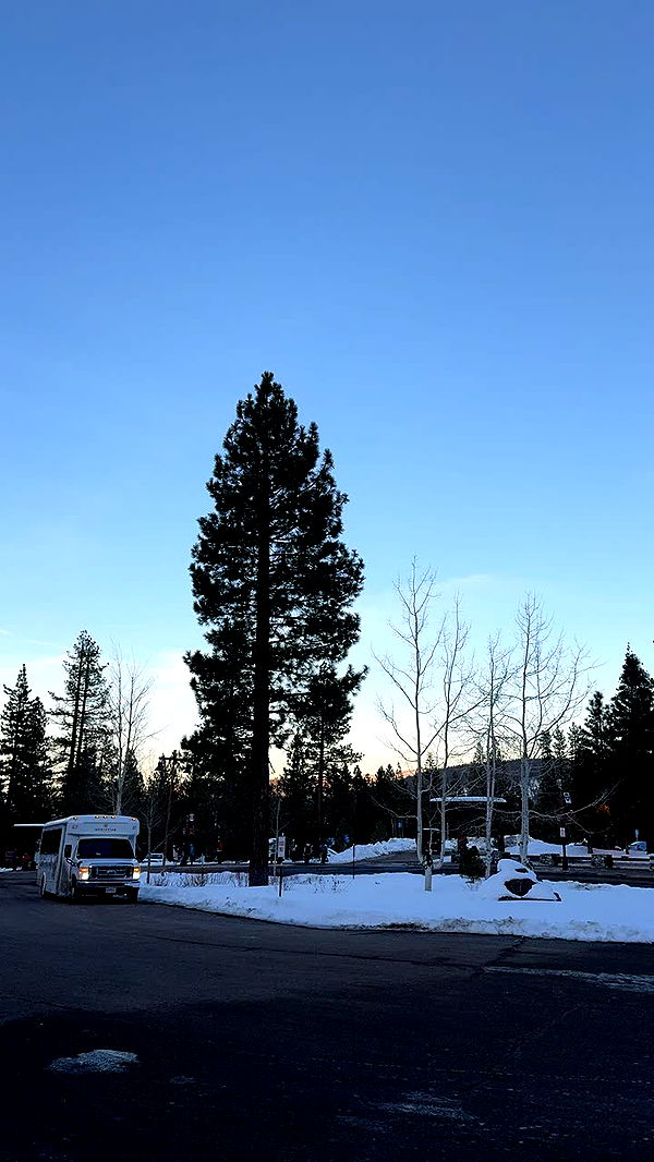 skilahblue image ~ Altpins