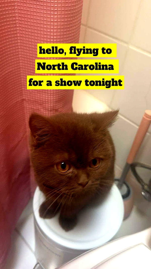 skilahblue image ~ Altpins