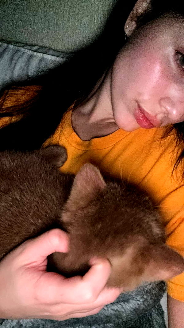 skilahblue image ~ Altpins