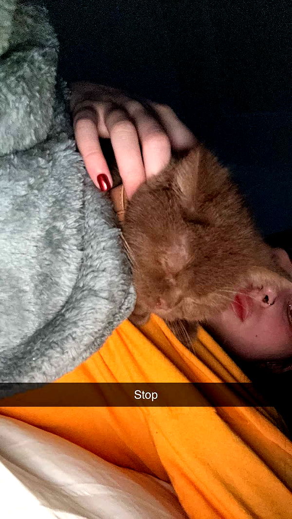 skilahblue image ~ Altpins