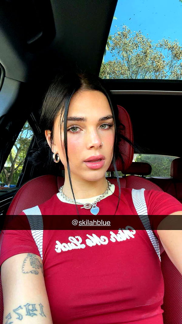 skilahblue image ~ Altpins