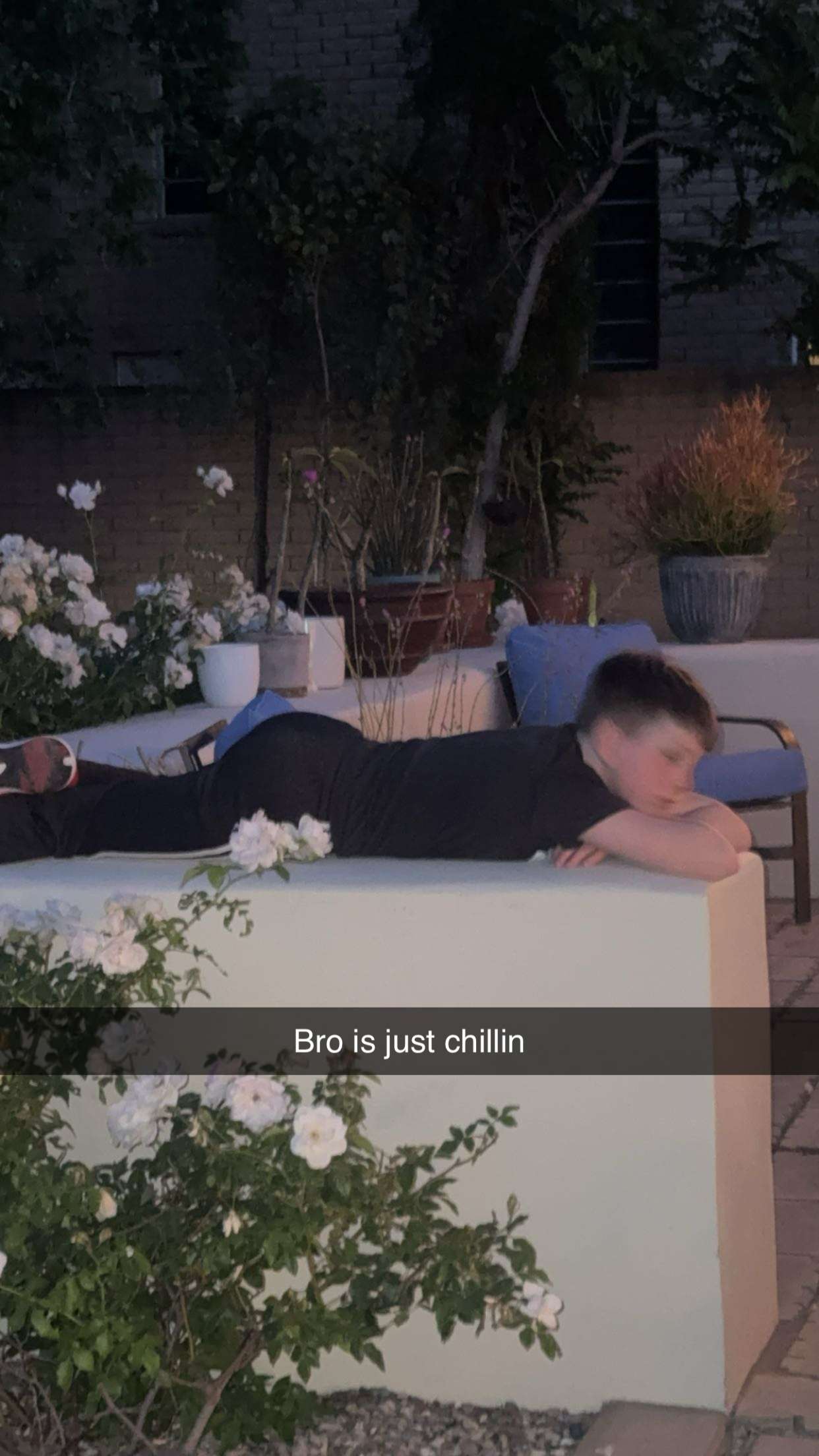 skilahblue snapchat image archive image