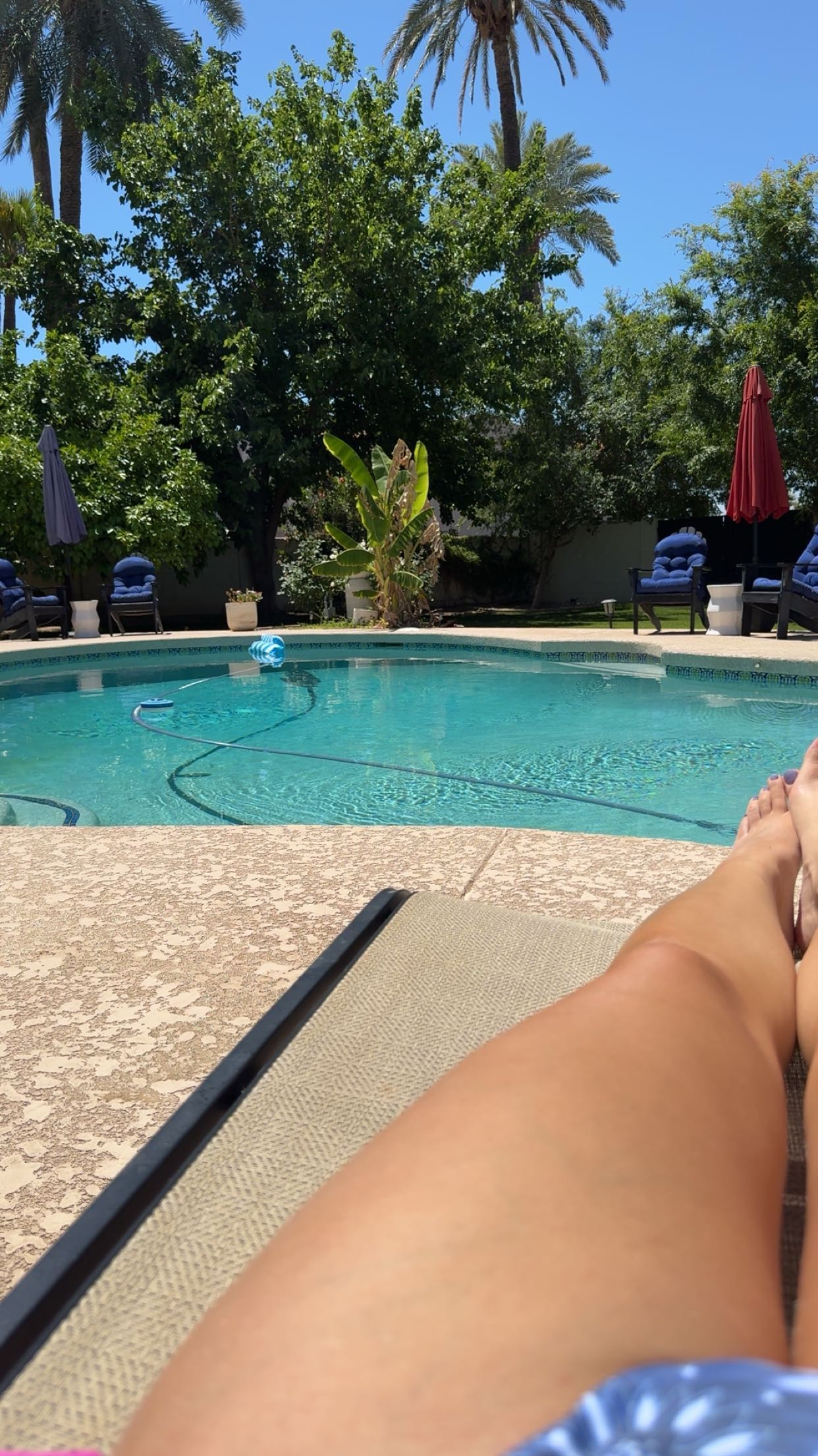 skilahblue snapchat image archive image