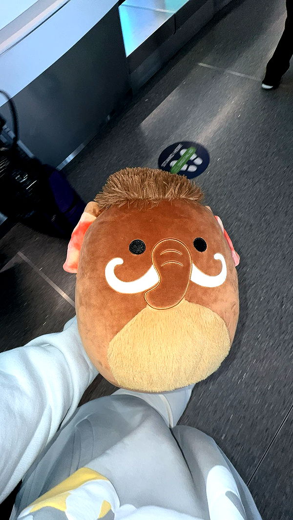 skilahblue image ~ Altpins