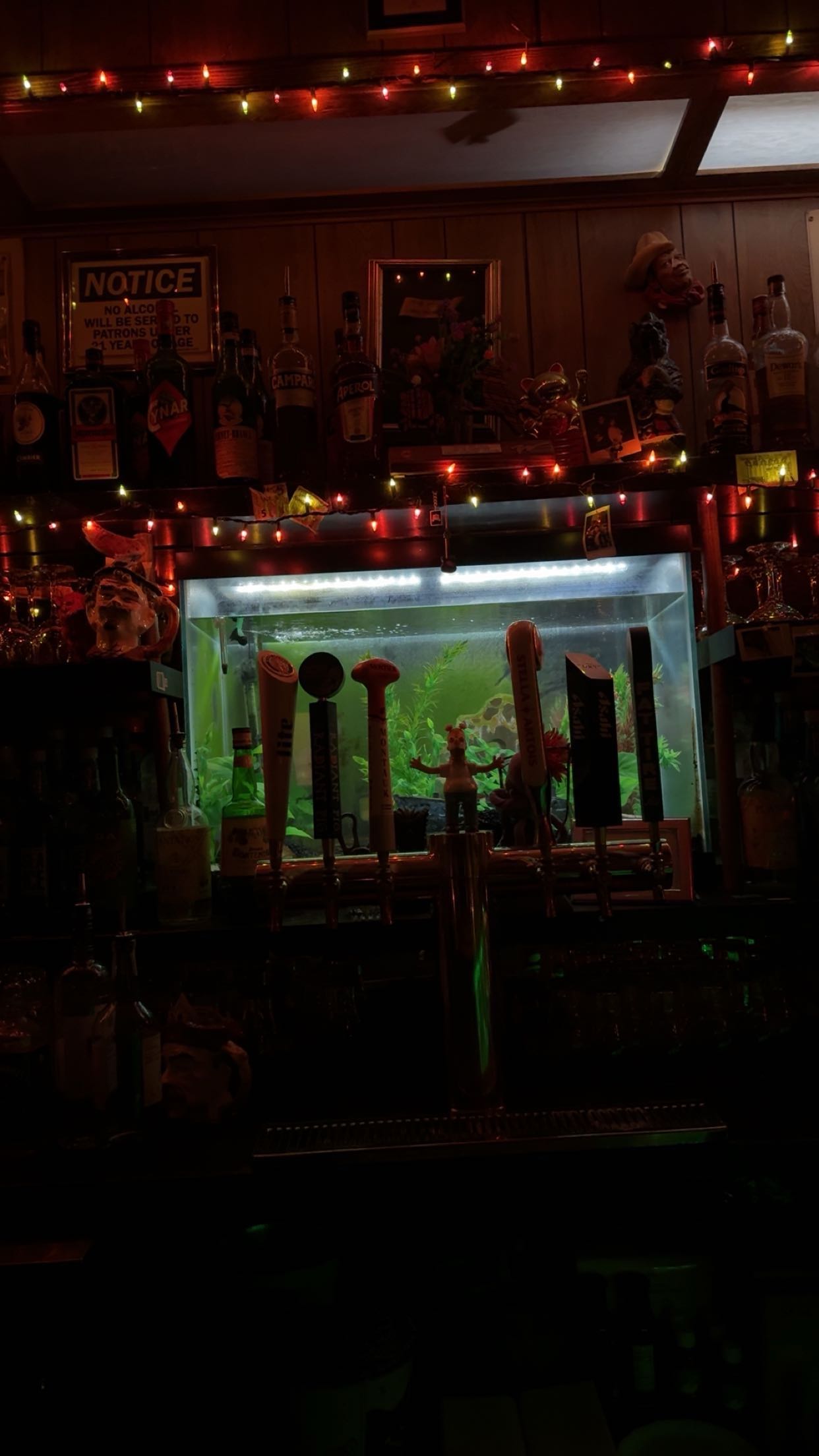 skilahblue snapchat image archive image