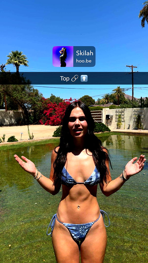 skilahblue image ~ Altpins