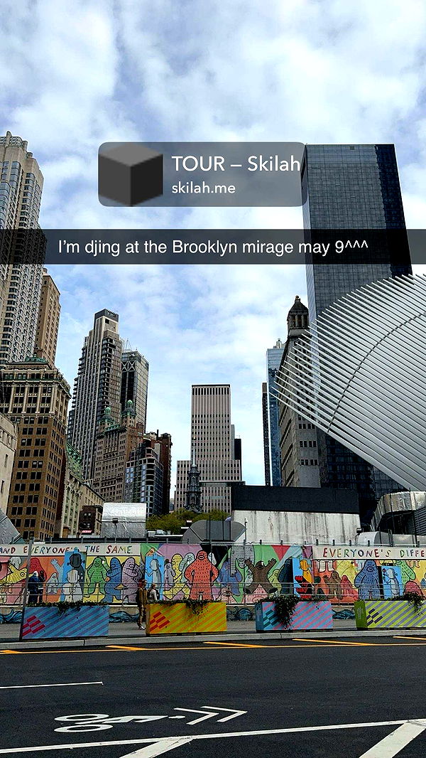 skilahblue image ~ Altpins