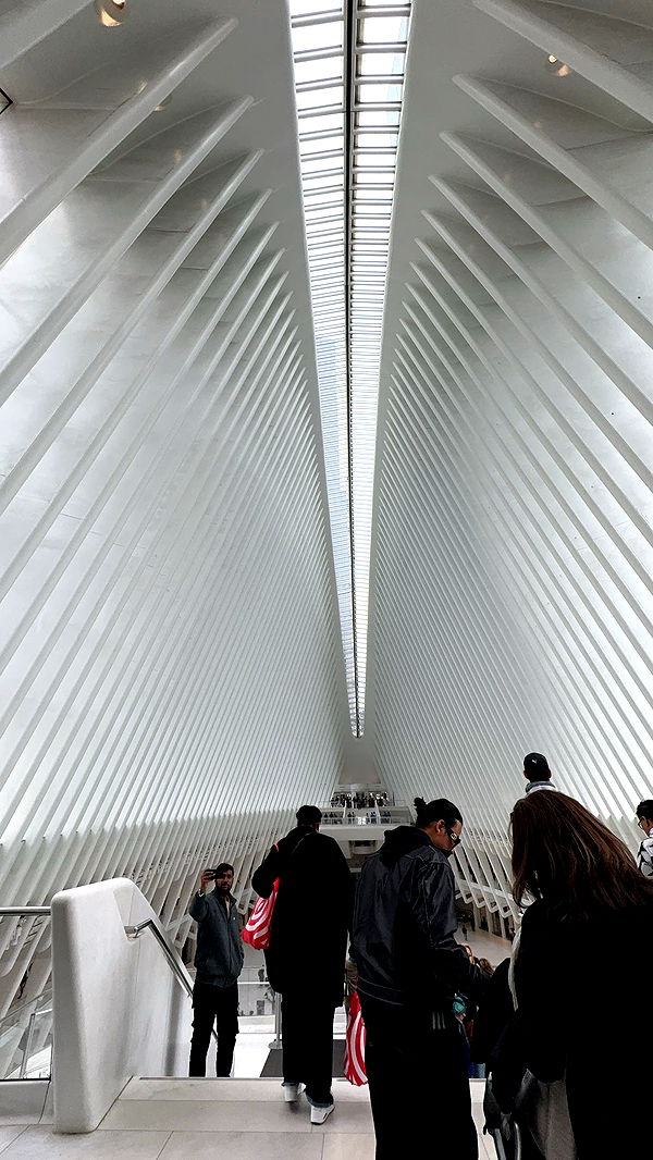 skilahblue image ~ Altpins