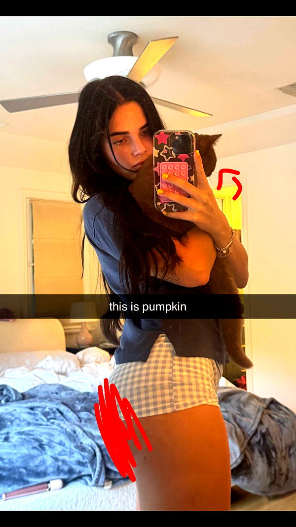 skilahblue image ~ Altpins