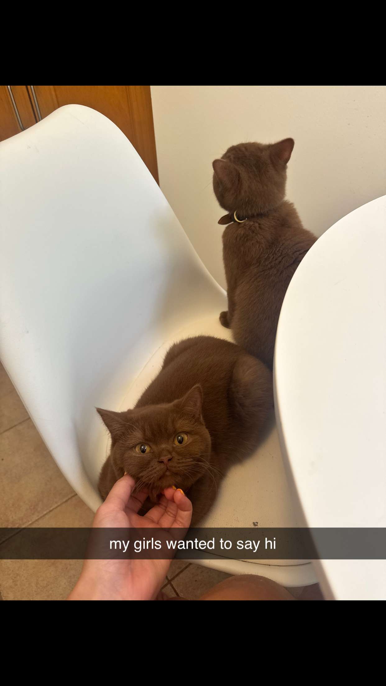 skilahblue snapchat image archive image