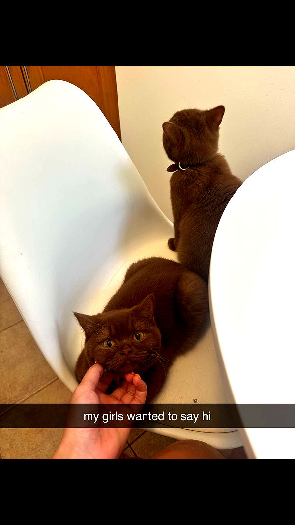 skilahblue image ~ Altpins