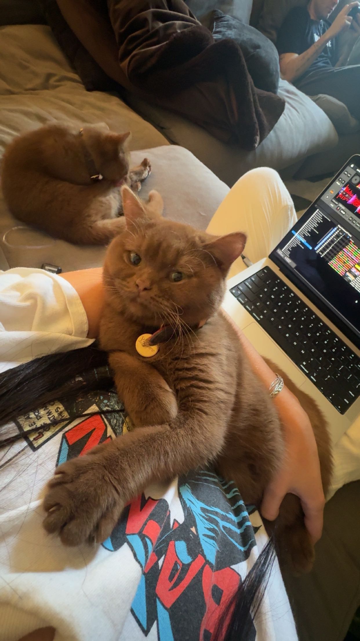 skilahblue snapchat image archive image