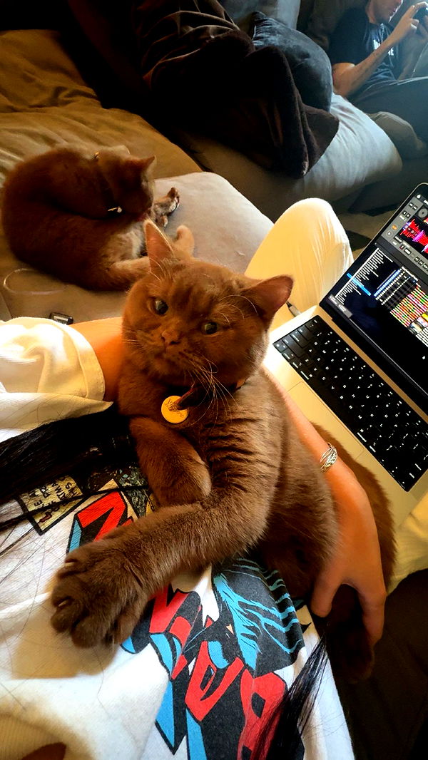 skilahblue image ~ Altpins