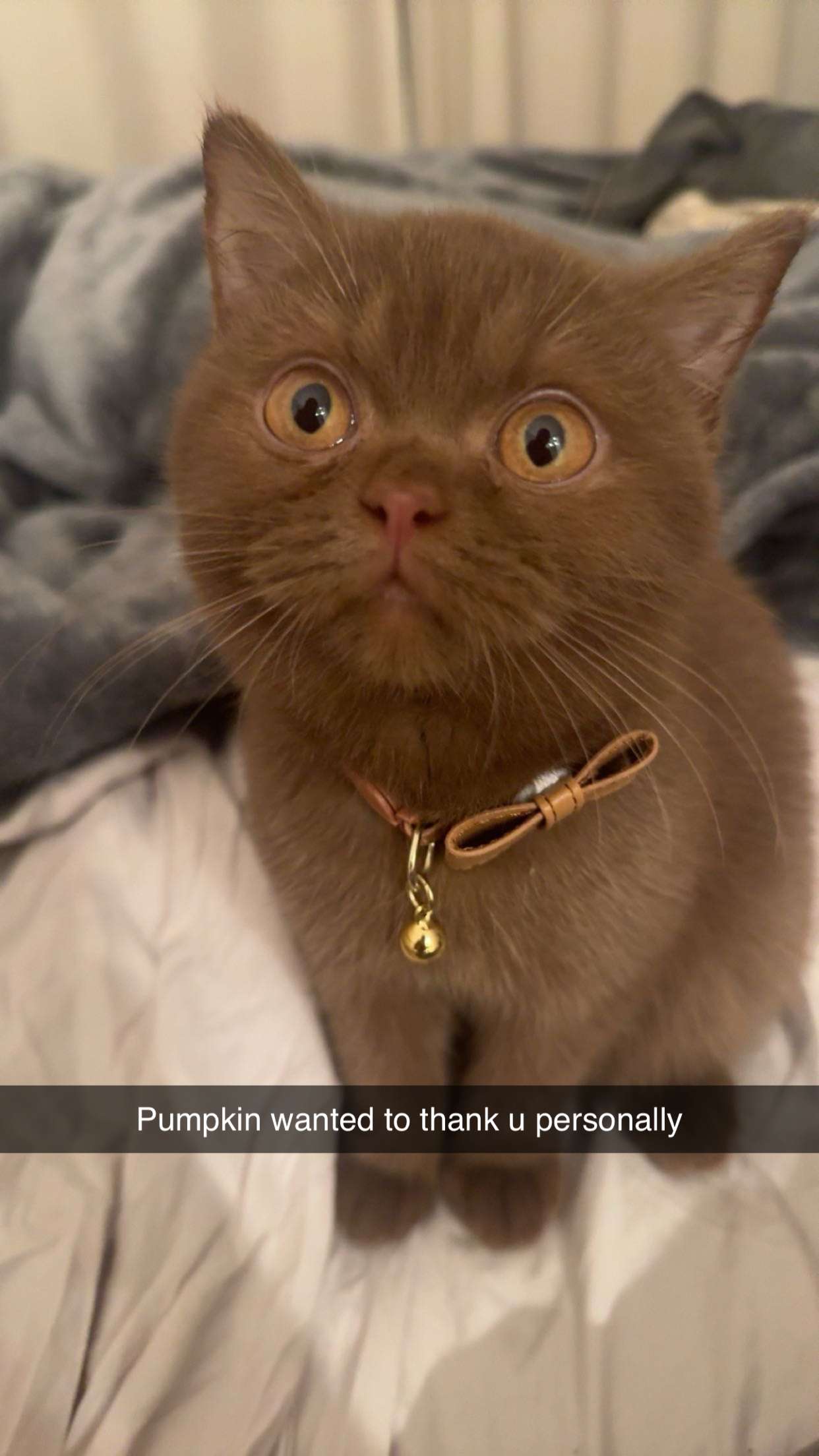 skilahblue snapchat image archive image