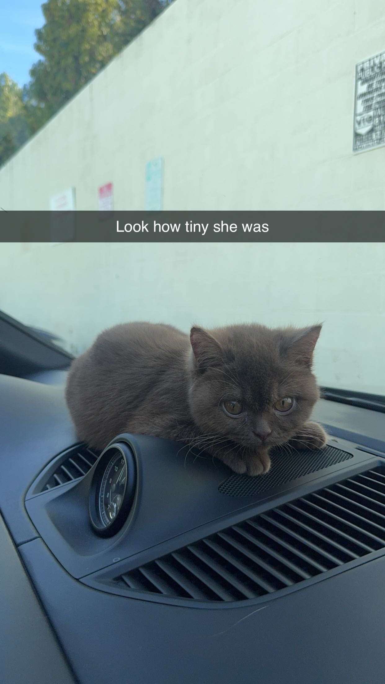 skilahblue snapchat image archive image